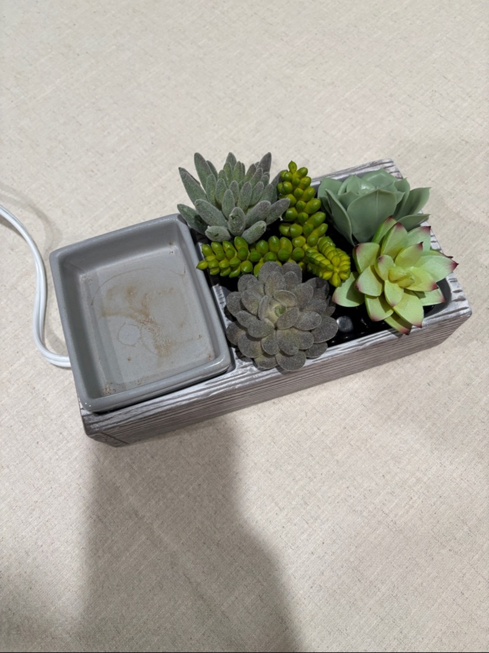 🪴 Scentsy Suc-cute-lent Element Wax Warmer Little garden